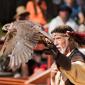 Falconry