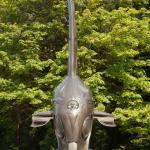 Orca