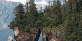 When in Pacific Northwest Coast