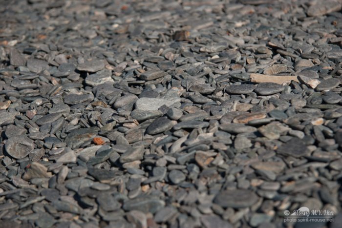 Fox Island, Kenai Fjords National Park, Alaska
