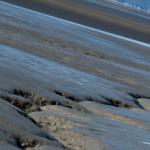 Crack in Mudflats