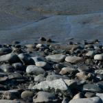 Mudflats beach