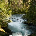 Winner Creek Gorge