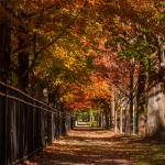 Autumn Passage
