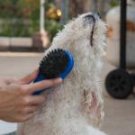 Brushing