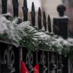 Snow on Christmas