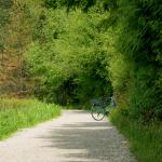Path