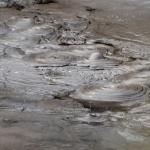 Mud Pool