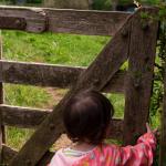 Open the gate for adventure