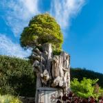 Down the rabbit hole