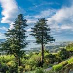 Awesome view of the Peninsula