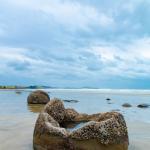 An cracked open dinosaurs egg