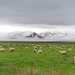 Wonderful view of roadtrip landscapes