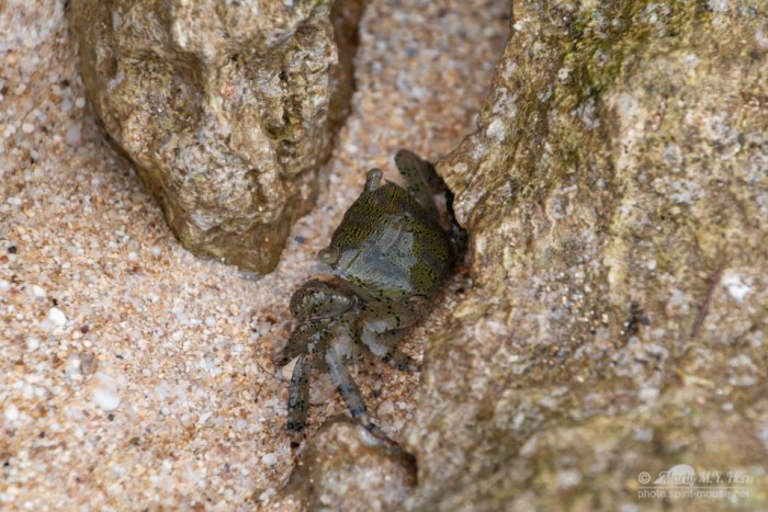 @ Shark Cove, Oahu, Hawaii